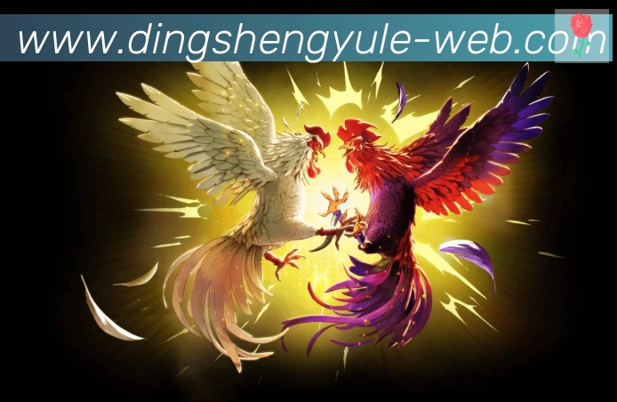 鼎盛娱乐体育荣誉